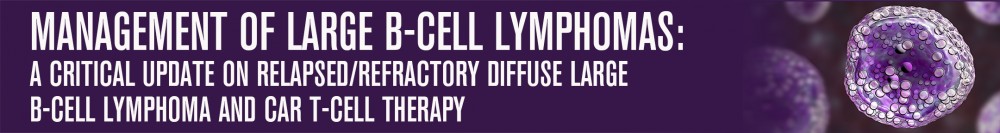 Management of Large B-Cell Lymphomas: A Critical Update on Relapsed/Refractory Diffuse Large B-Cell Lymphoma and CAR T-cell Therapy